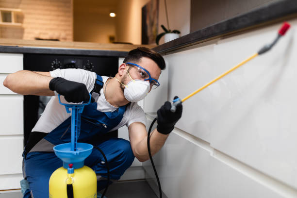 Best Residential Pest Control  in Arlington, TX