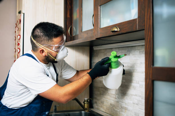 Best Affordable Pest Control Services  in Arlington, TX