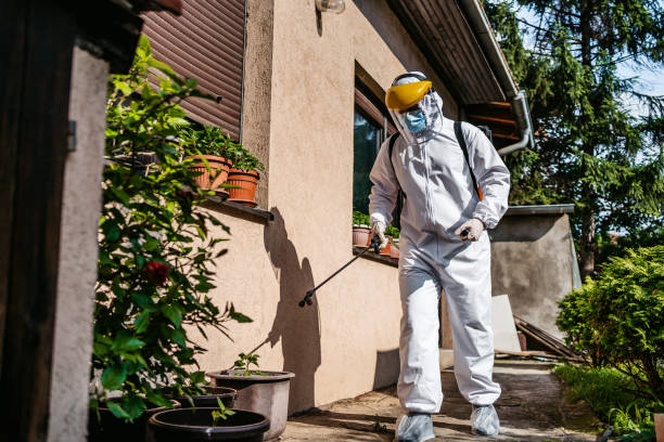 Best Insect Control  in Arlington, TX