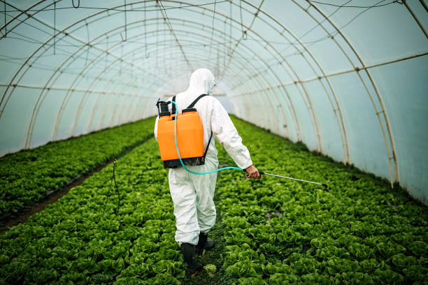Best Local Pest Control Services  in Arlington, TX
