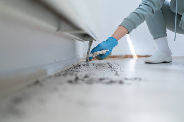 Reliable Arlington, TX Pest Control Solutions